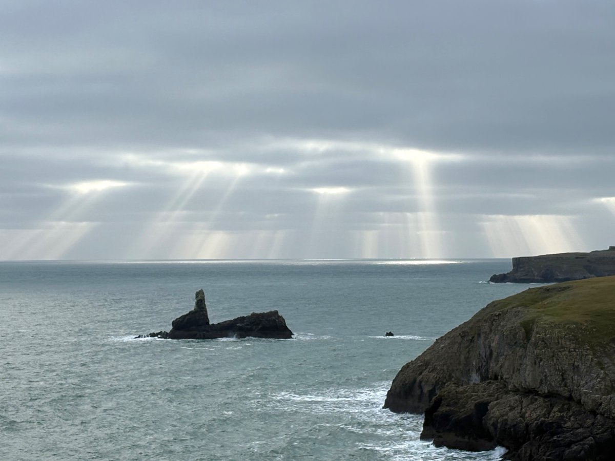 Ian Humphreys tweet media