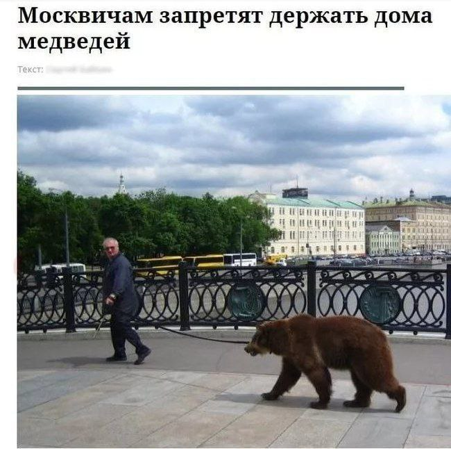 grimzone's tweet image. Что же за страна-то у нас такая!