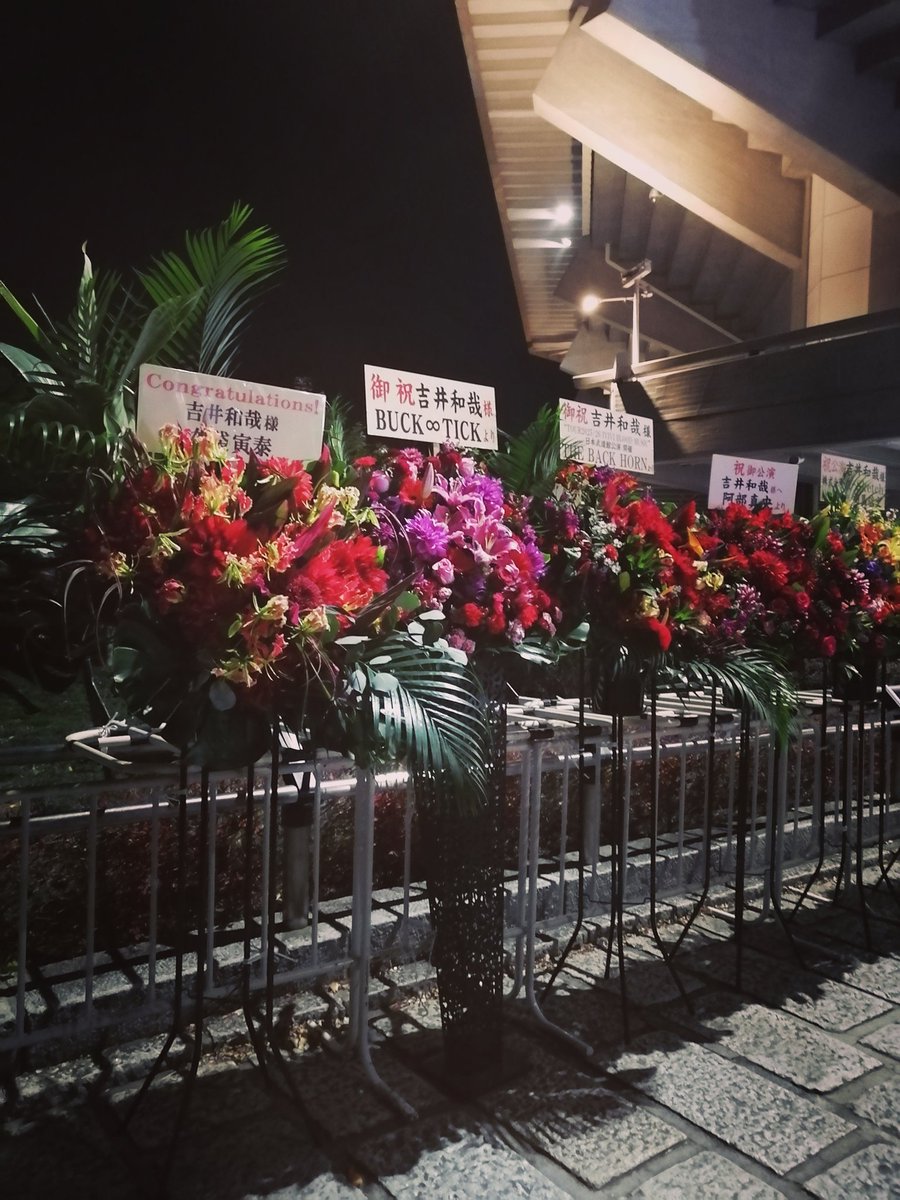 吉井さん武道館　喉の調子が心配だったけど魂感じる歌声が凄く伝わりました。色んなお話や歌詞にも包まれてありがとうしかない。ナポリタンズの演奏もカッコ良かった。
目からくる不調で眩しくてステージや横の画面も正直あまり見れず🥺でも感動。そして年末感