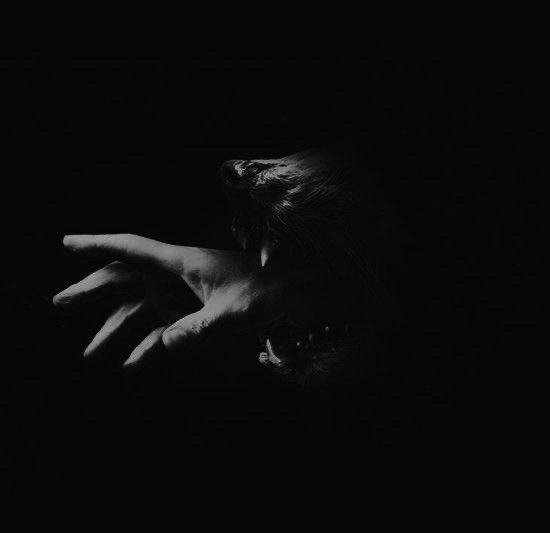 wolfkingisms's tweet image. In     the     depths     of     night,    temptation     wears     a     mask     of    charm,     unveiling      its      true      face      only      after      the      first      bite      of     forbidden        fruit.     ✞