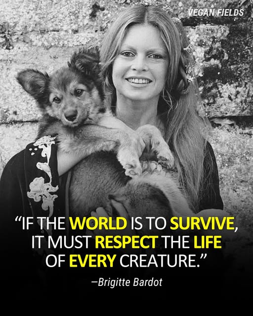 Ellie CG tweet media