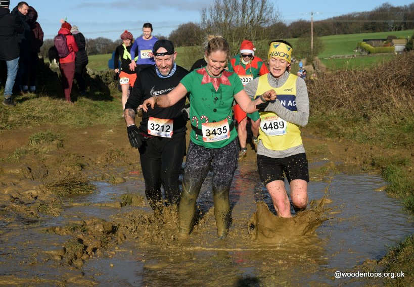 Woodentops tweet media