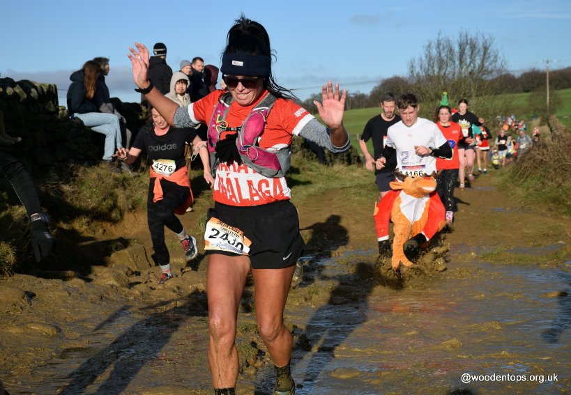 Woodentops tweet media