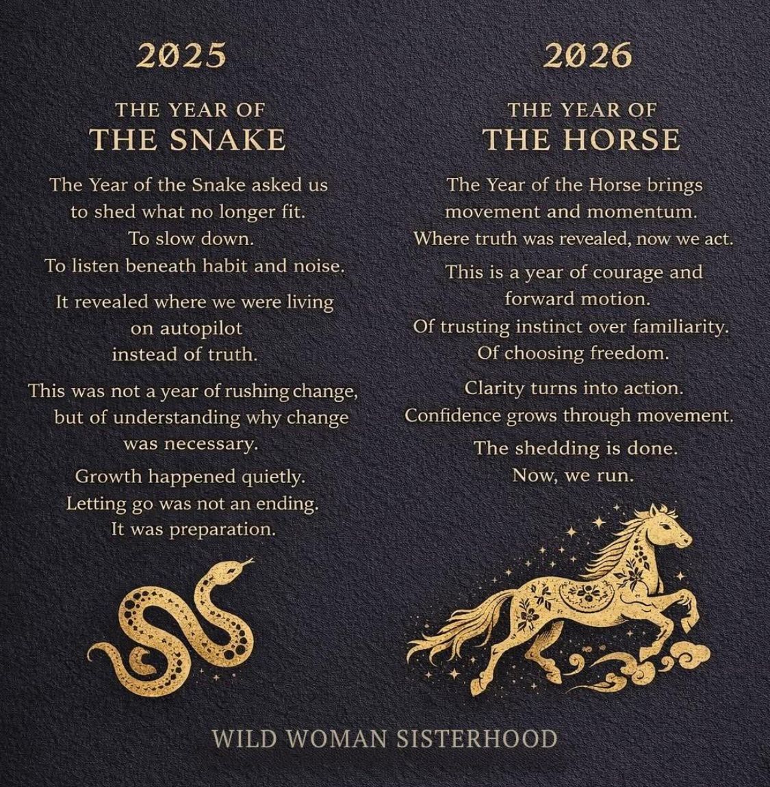 JonesCountyDems's tweet image. The shredding is done.
Now, we run.