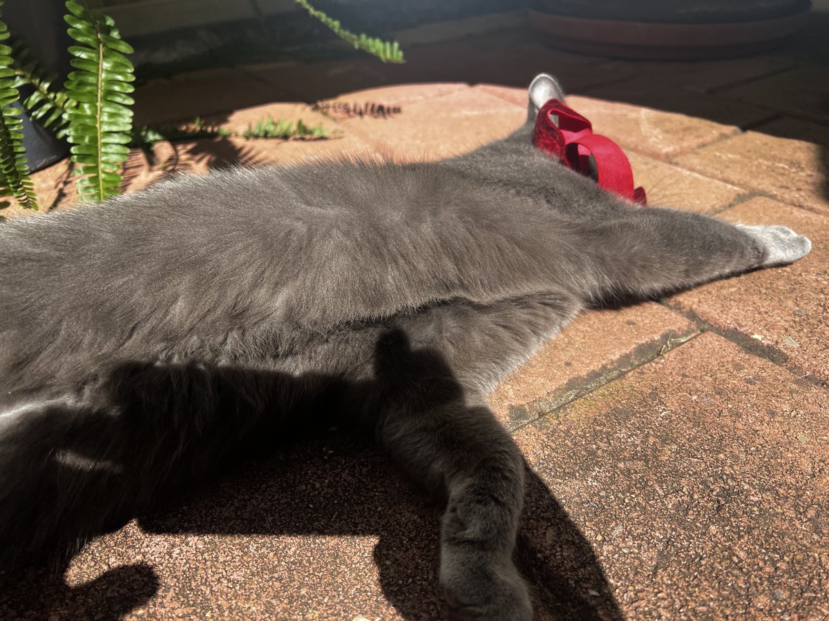 stuffymint's tweet image. Great school-Xmas photos?
Soo over it . . .