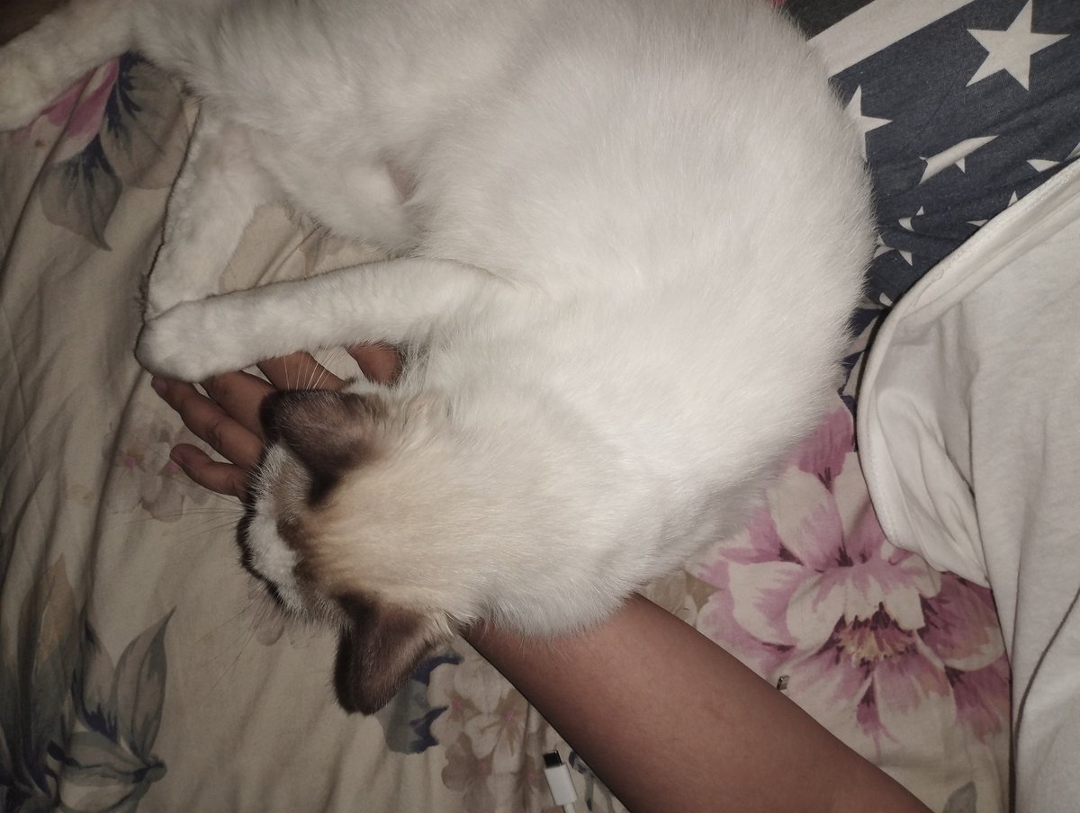 Tidurnya harus banget pegangan