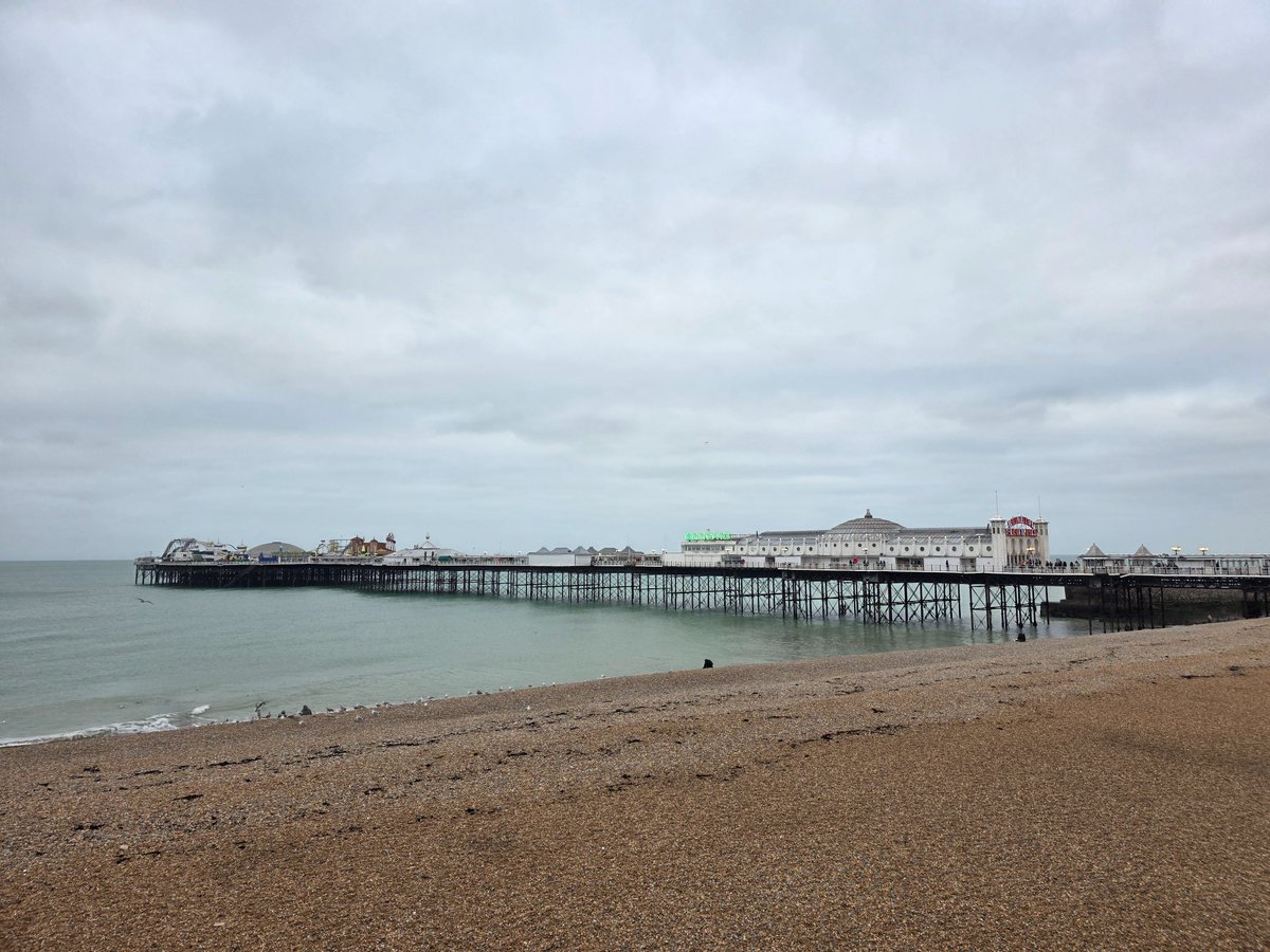 JillianLeeAdams's tweet image. Beautiful bonkers Brighton 🎡🌊