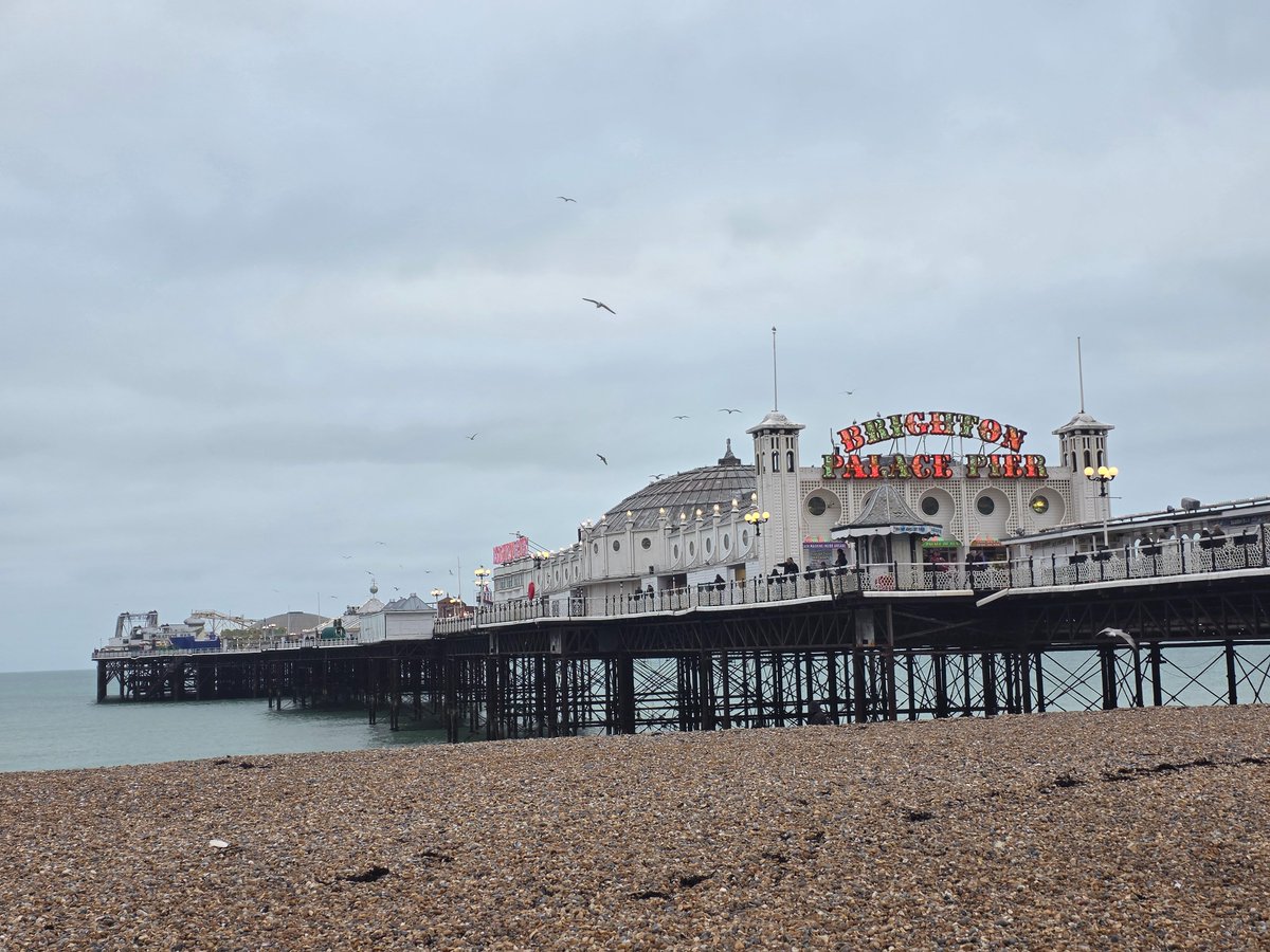 JillianLeeAdams's tweet image. Beautiful bonkers Brighton 🎡🌊