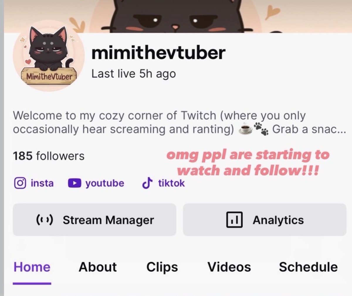 _mimithevtuber's tweet photo. what my twitch progress has looked like this past month 🥹 https://t.co/RZwsptPKbB