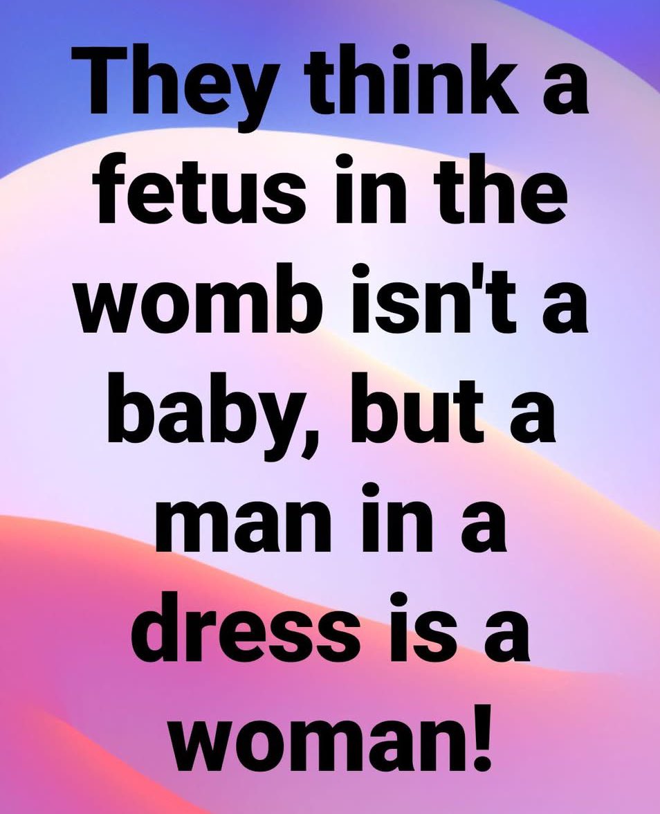 WildHeartoO's tweet image. This is how mentally 
     deficient @TheDemocrats are!! 🤦🏼‍♀️