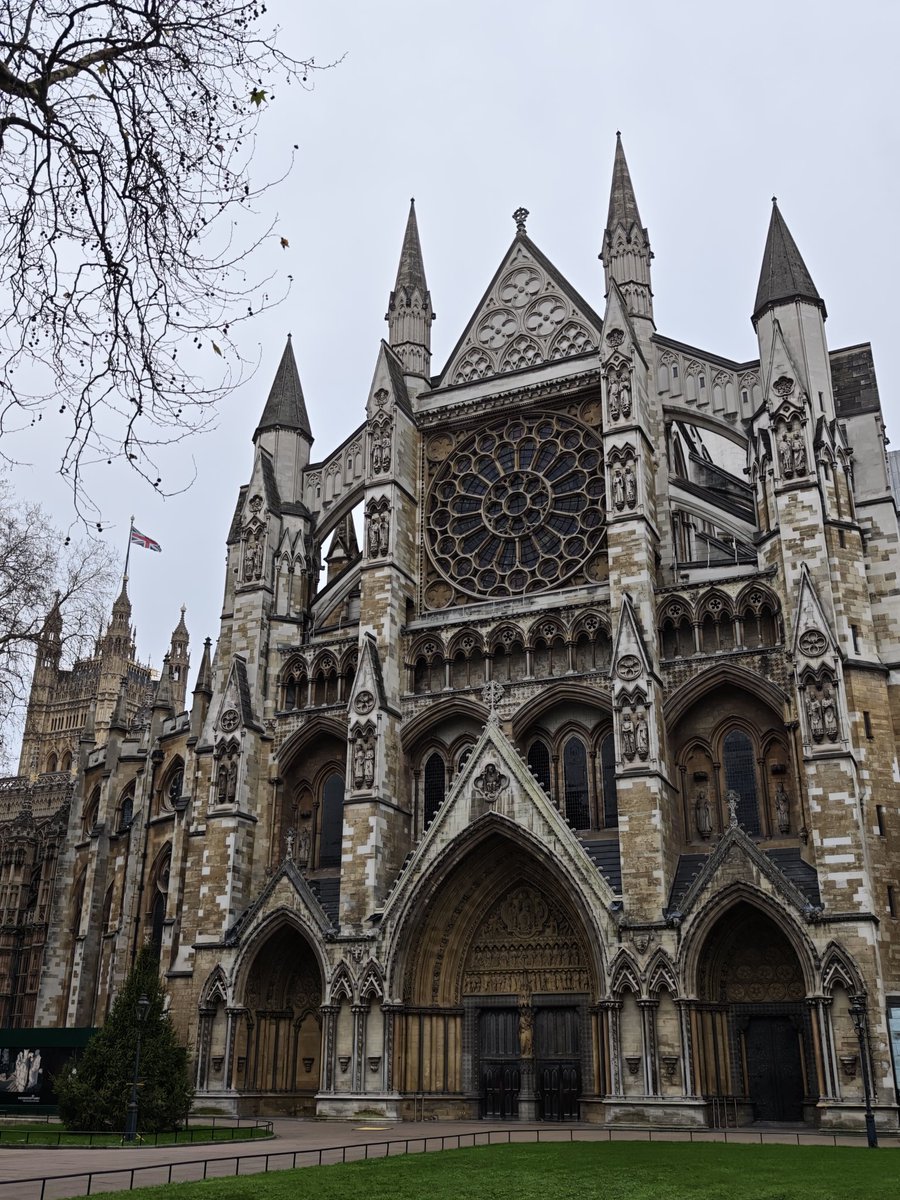 rydimer's tweet image. 