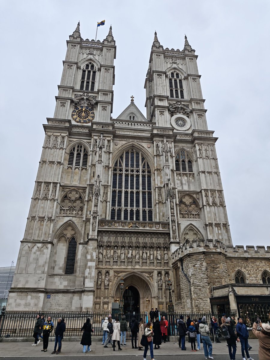 rydimer's tweet image. 