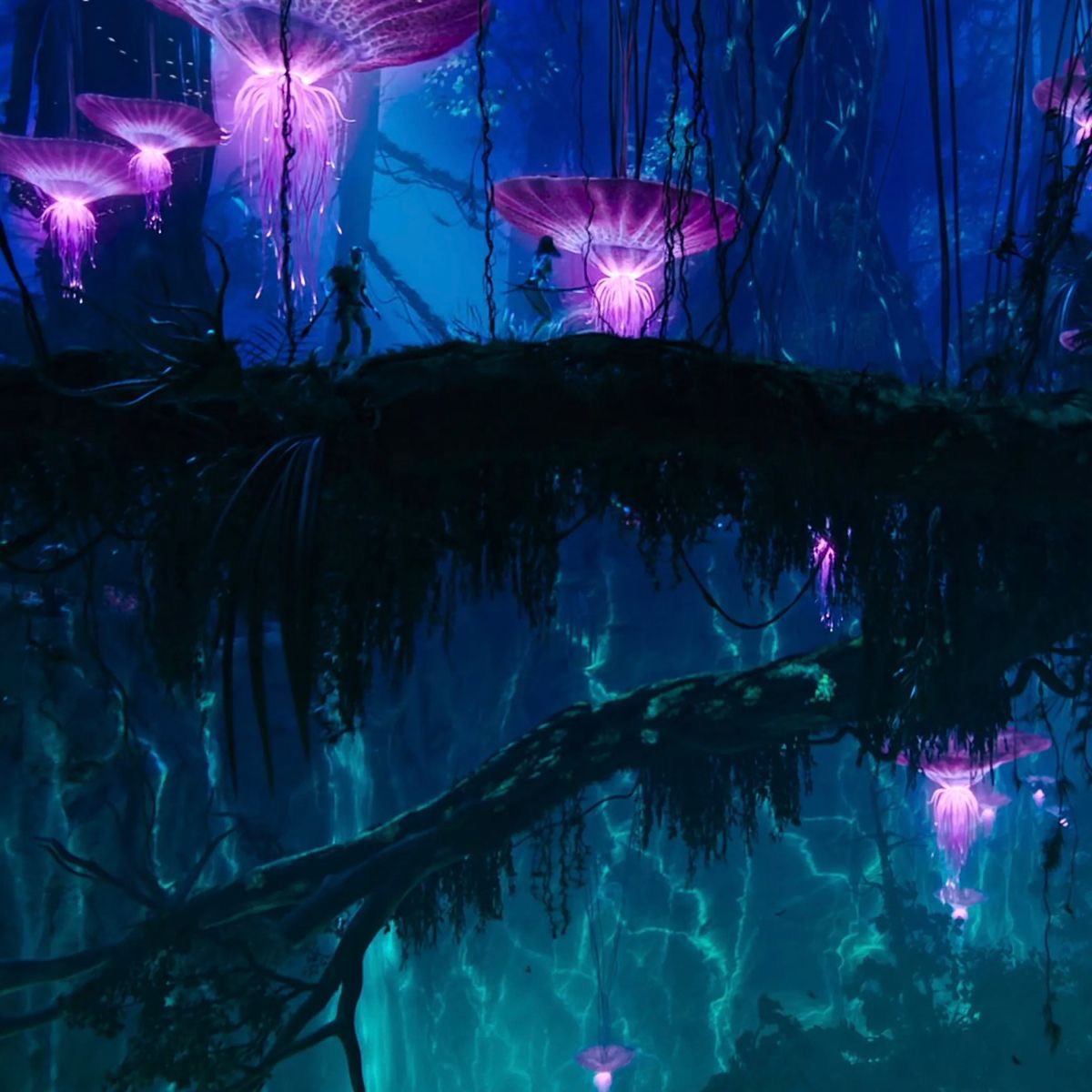 ilayda 🪼 tweet media