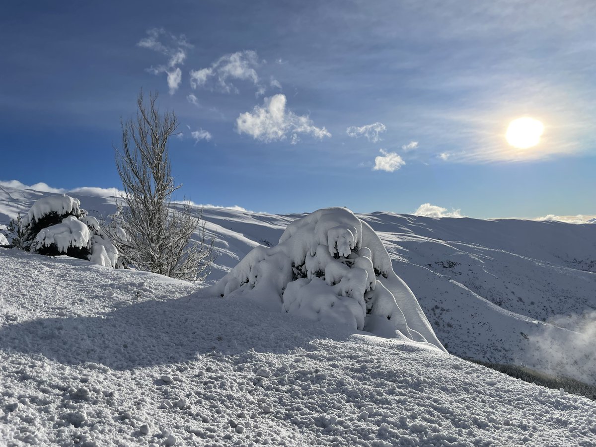 Tras la tormenta…
👉 +30 cm de nieve nueva
📷 28/12/25
…
PREVISIÓN 29 DIC
➡️ 80 km (pistas en todas las zonas) 
➡️ 19 remontes (ts Virgen de las Nieves, en previsión lo largo de la mañana)
‼️Riesgo de avalancha: 4/5. Respete señalización; no esquiar fuera de pistas balizadas.