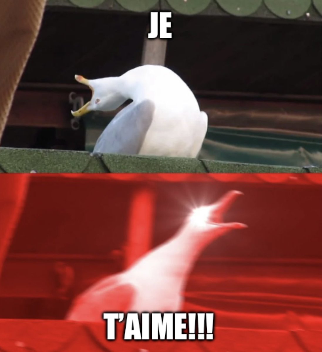 sur la toile notre amour demeure