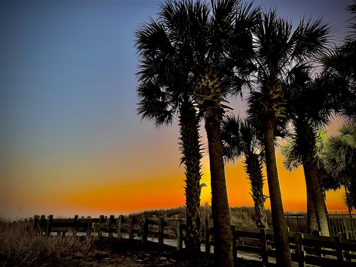 William Miley tweet media