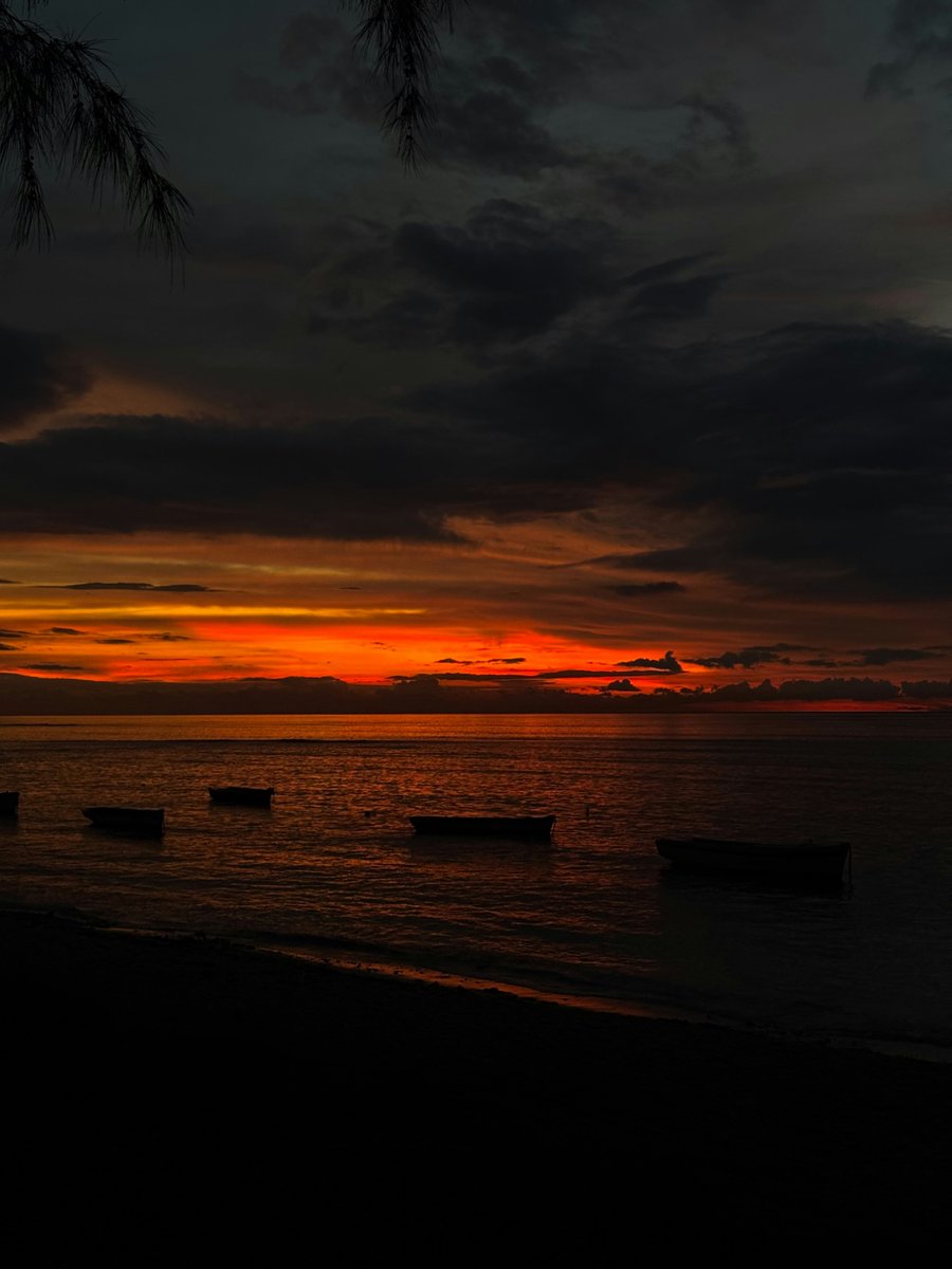 earthcurated's tweet image. — morning 🌅