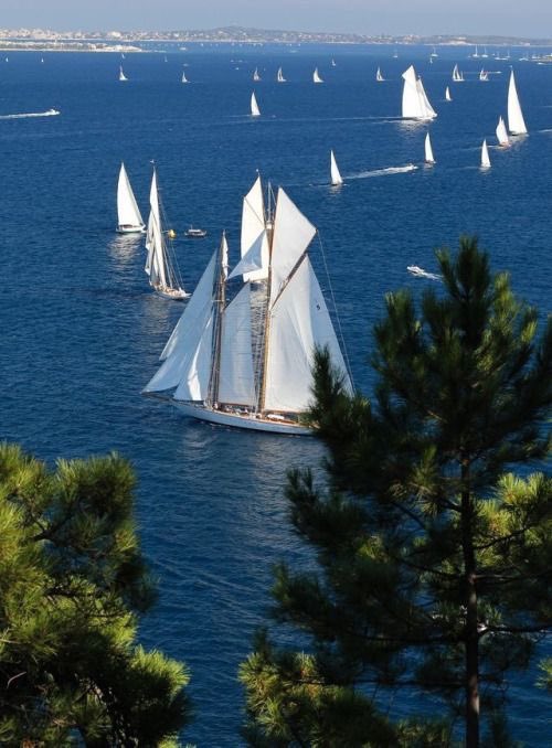 euronationalizt's tweet photo. Nature chose green and blue https://t.co/hiOEI5ZTXh