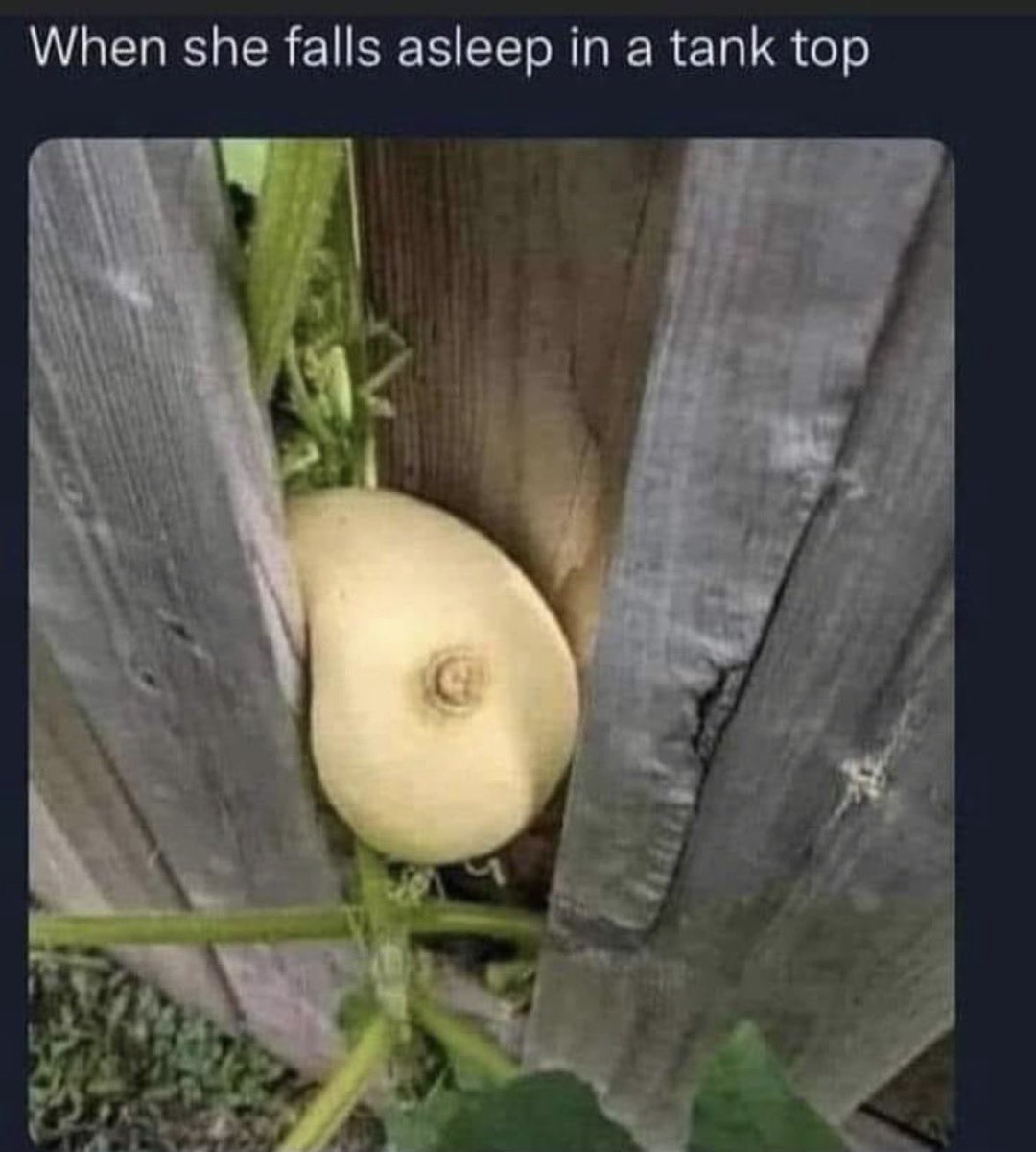 RealUnsweetDee's tweet image. 