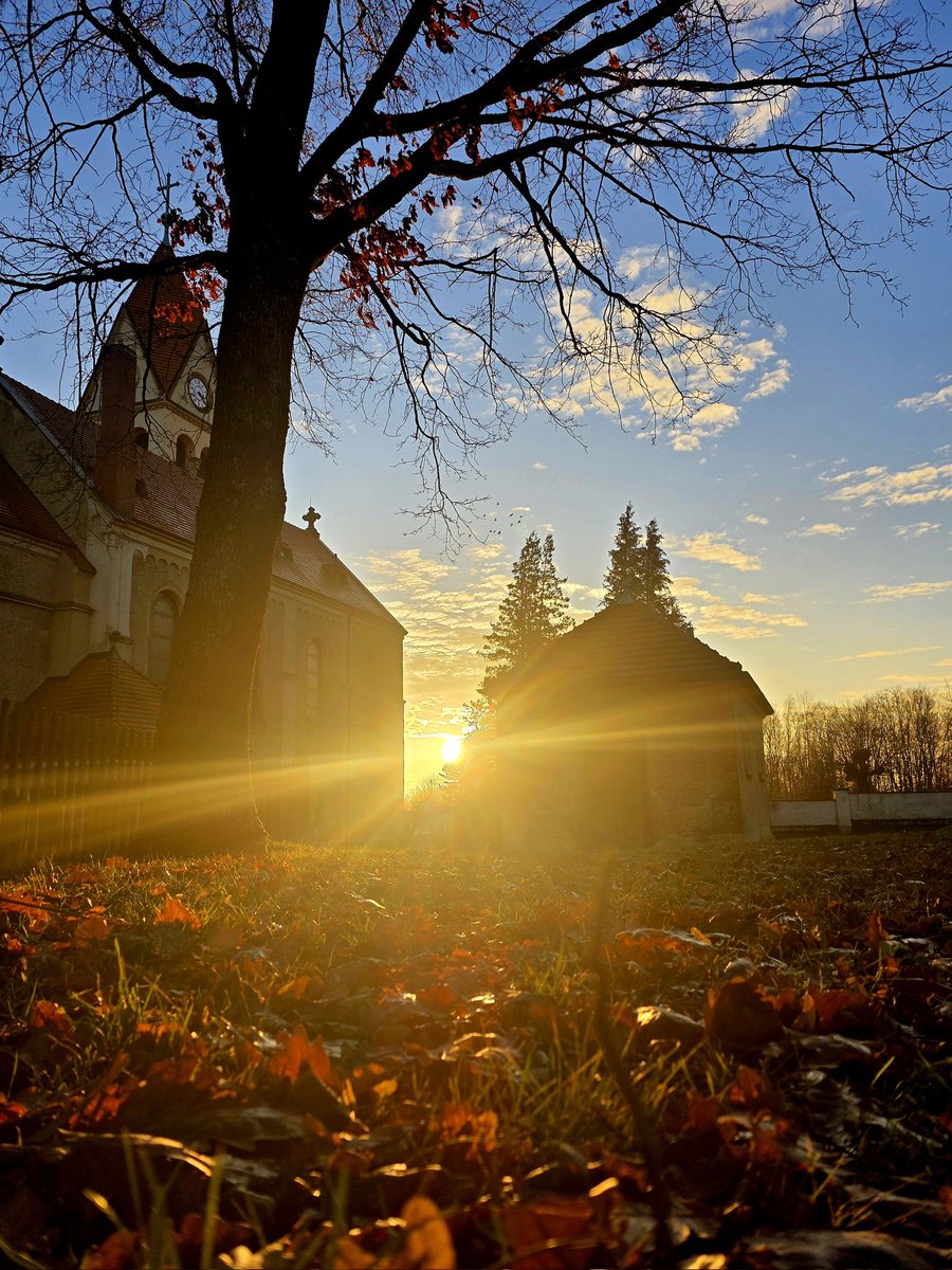 yoshi1509's tweet photo. ❄️☀️ Kalte Tage, warmes Licht
Auch an frostigen Tagen gibt es sie: diese kurzen Momente, in denen die Sonne tief steht und alles in ein warmes, fast goldenes Licht taucht. ✨

#kirche #sonnenstrahlen #nature #Photography #winter #sunnywinterday https://t.co/Yy17N1uHzQ