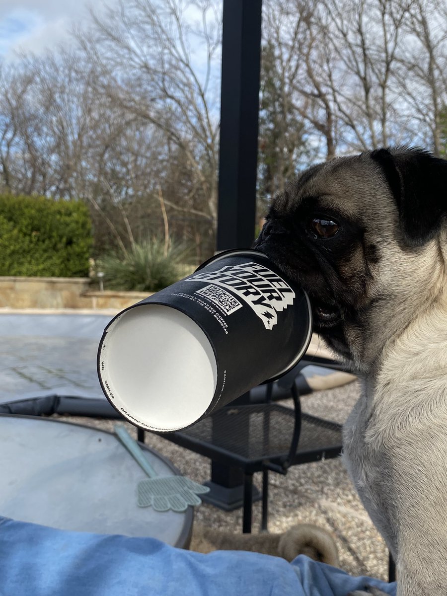 Troy Pratt🫓🦊🌵15:1 tweet media