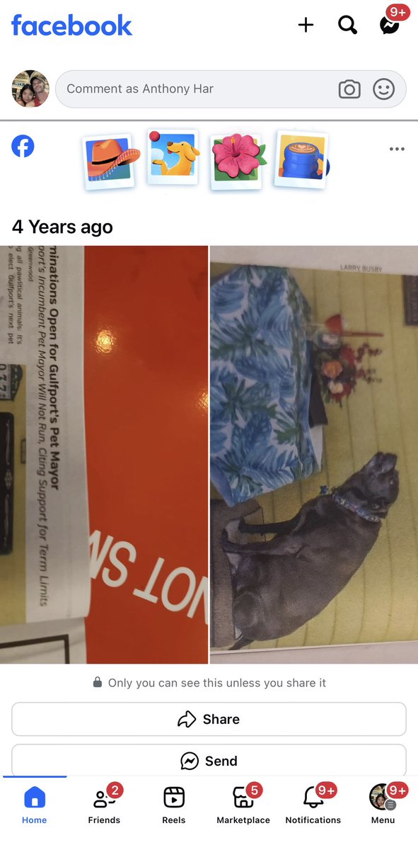 Facebook has zero visual understanding of their memories feature, how could this company not be AI first with basic visual awareness of just taking screenshots that are useless for my phone and recommend them as memories? It doesn't give me a lot of hope for Llama.