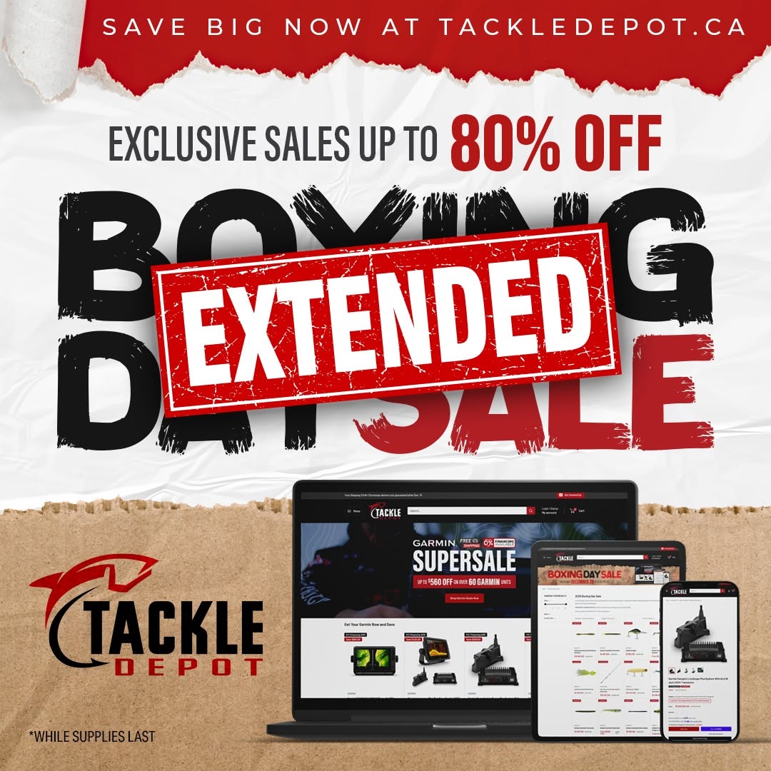 🛒 𝗗𝘂𝗲 𝘁𝗼 𝗽𝗼𝗽𝘂𝗹𝗮𝗿 𝗱𝗲𝗺𝗮𝗻𝗱, 𝗼𝘂𝗿 𝗕𝗼𝘅𝗶𝗻𝗴 𝗗𝗮𝘆 𝗦𝗮𝗹𝗲 𝗵𝗮𝘀 𝗯𝗲𝗲𝗻 𝗲𝘅𝘁𝗲𝗻𝗱𝗲𝗱. Take advantage of exclusive offers with up to 80% OFF and stock up here bit.ly/tdboxingdaysale

NOTICE: Orders placed during this sale will start shipping 2026-01-02