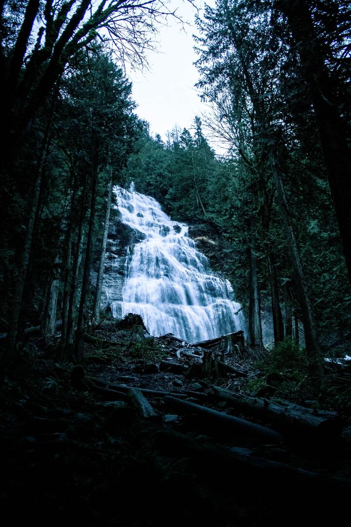 MovieNight_apps's tweet photo. Bridal Falls, BC [OC] [2848x4272] via /r/EarthPorn https://t.co/daqe16vDqw

#photography #photooftheday #photographer #photoshoot #picoftheday #art #beautiful
#instagood #photo #nature #travelphotography
#landscapephotography #portraitphotography
#followme #follow #camera #tuls… https://t.co/otg3JzyBW5