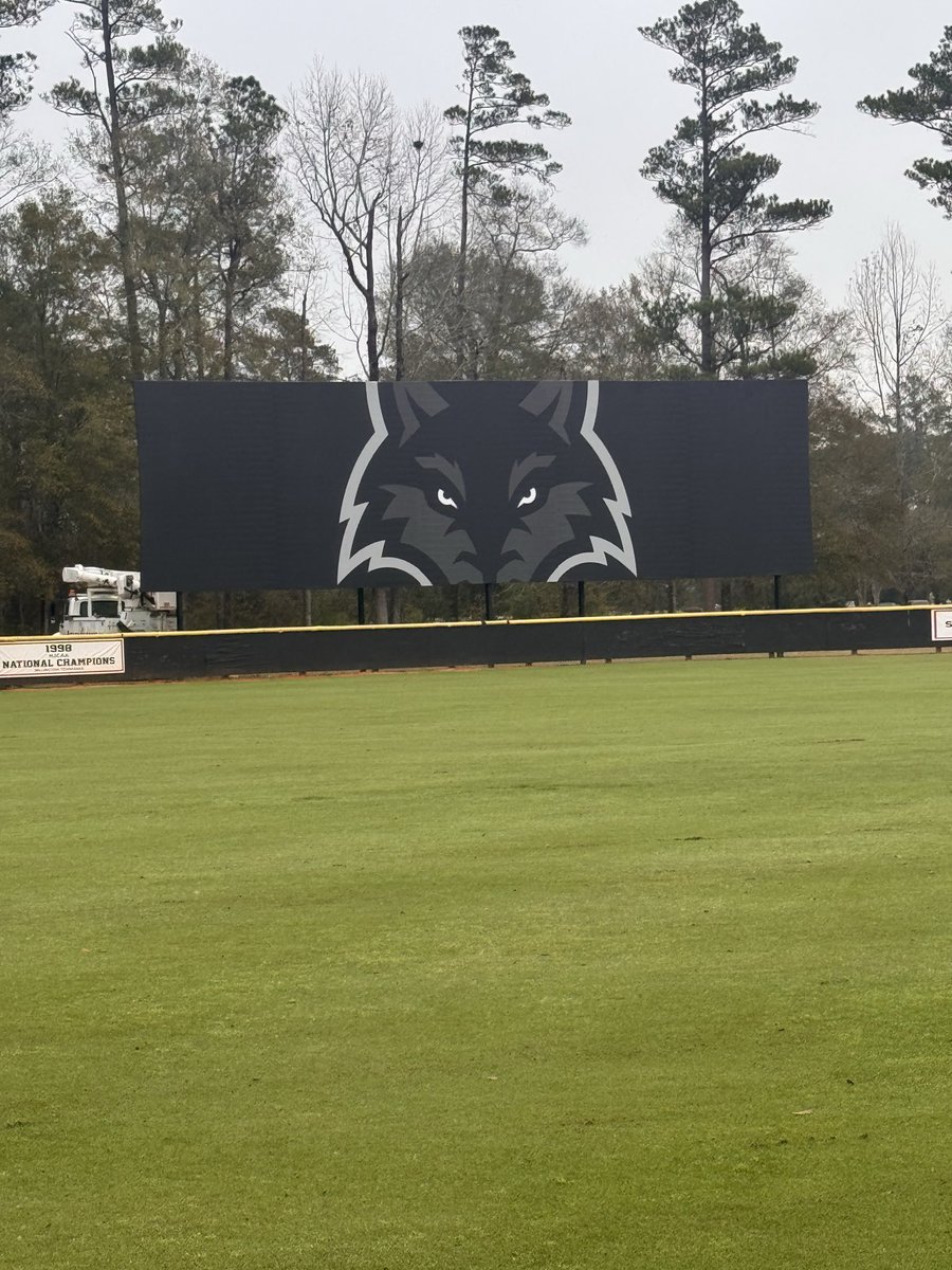 MATT COLLINS tweet media