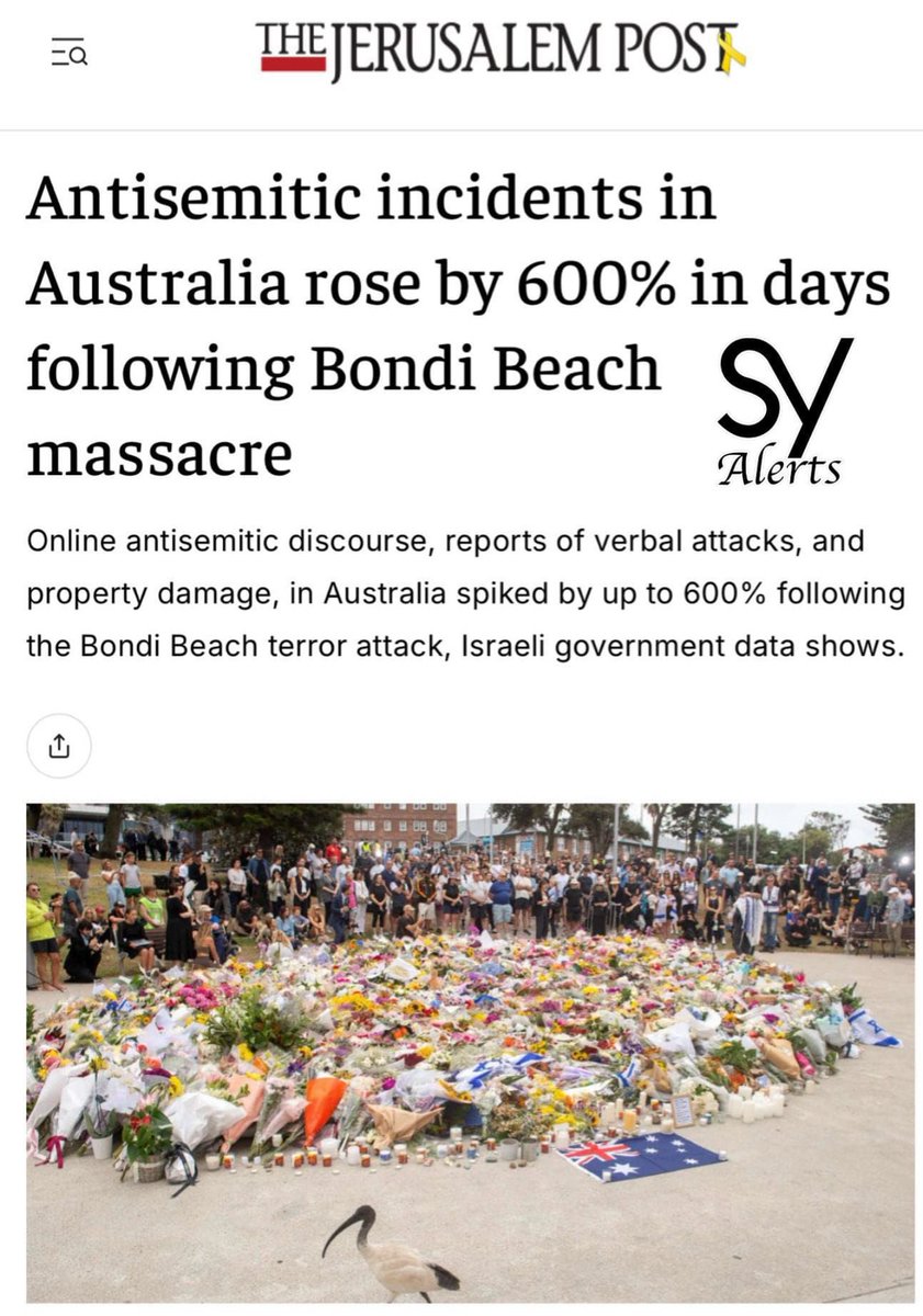 WolfMalca's tweet image. #Antisemitismus geht einher mit Toleranzbesoffenheit

Nein, der Terror von #BondiBeach war kein schicksalhaftes Ereignis.
Er war vermutlich noch nicht einmal die Spitze des Eisbergs.

Das Versagen der australischen Regierung mit Folgen:

Online-antisemitische Inhalte, Berichte