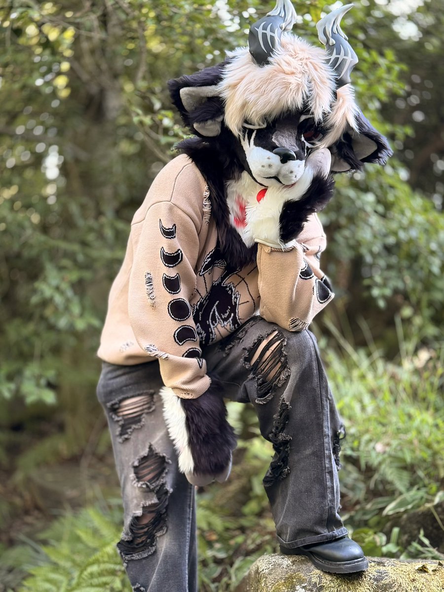 hetfli @ LVFC tweet media