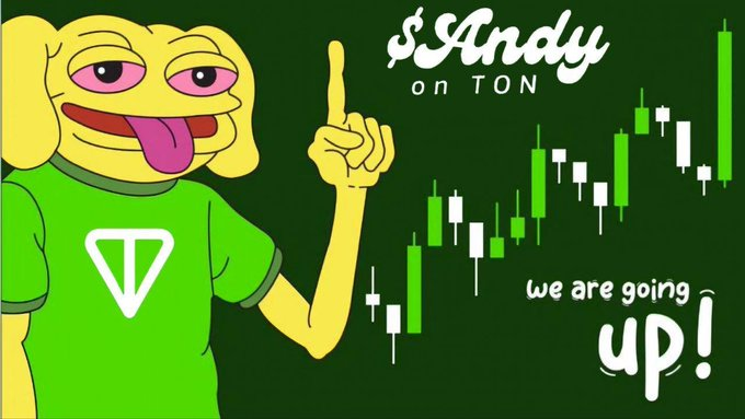 Andy on Ton 🫶 tweet media