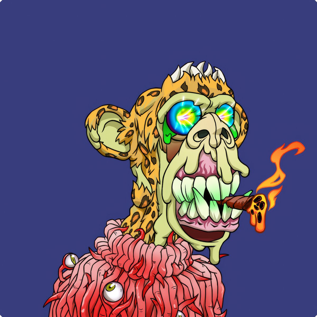 Jay B 😻🚀 tweet media