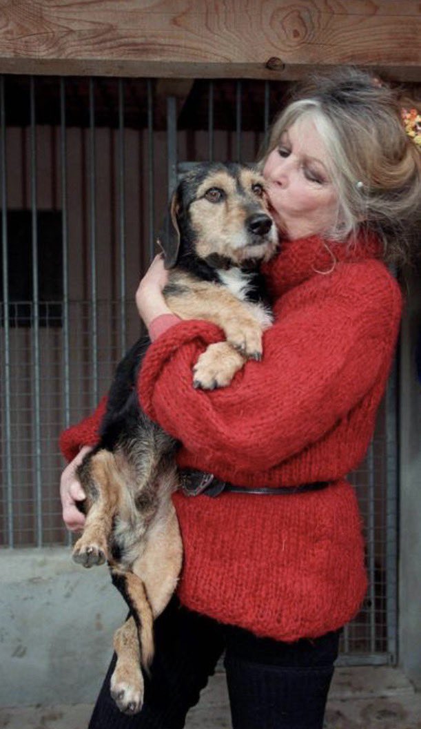 "Il mondo mi ha guardata. Ora spero che guardi gli animali che io ho scelto di ascoltare". Grazie #BB #BrigitteBardot: youtube.com/watch?v=PApEJM…