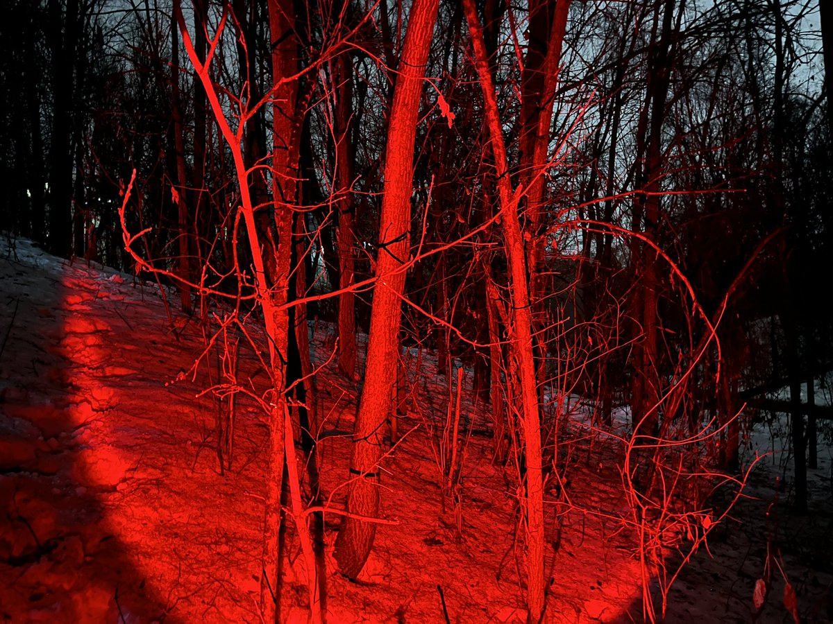 unevenstring180's tweet image. 