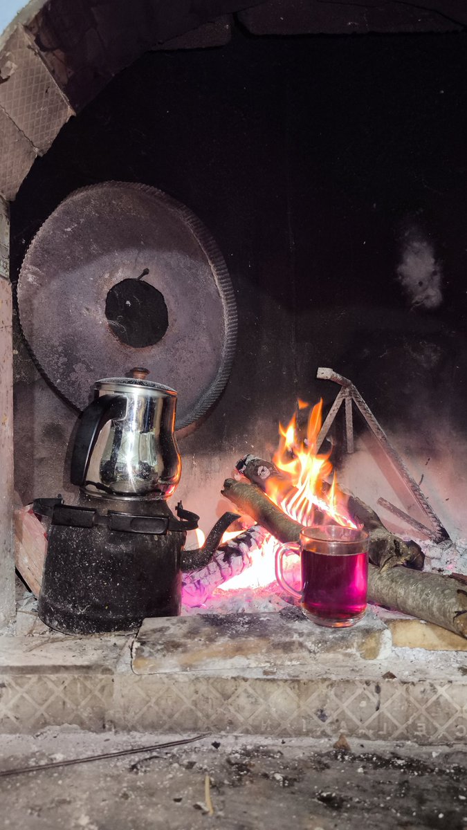 3933Mer's tweet image. Belki de ruhumuza iyi gelecek olan;
Abartısız,sade bir hayattır.
Akşamı şerifleriniz hayr olsun 💐🌹☘️