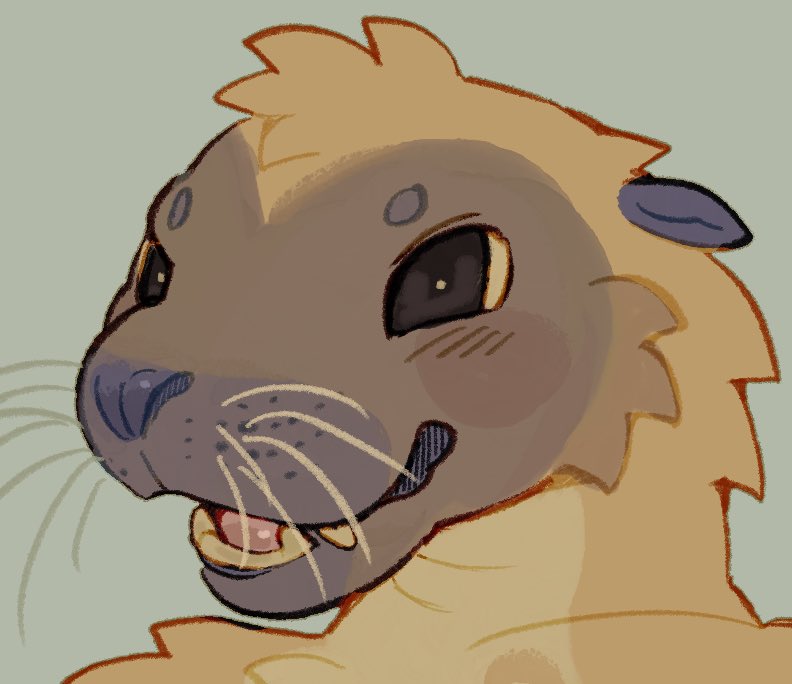 allie🐛 tweet media