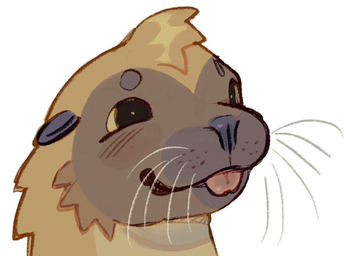 allie🐛 tweet media