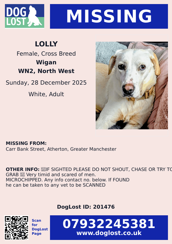 millypod1's tweet photo. 🆘28 DEC 2025 #Lost LOLLY #ScanMe 
Cross Breed Female
Carr Bank Street #Atherton 
#GreaterManchester #WN2 
County #Wigan
💥IF SIGHTED PLEASE DO NOT SHOUT, CHASE OR TRY TO GRAB 💥 Very timid and scared of men.  https://t.co/IffUJ56crb https://t.co/9s9x3bSlNX