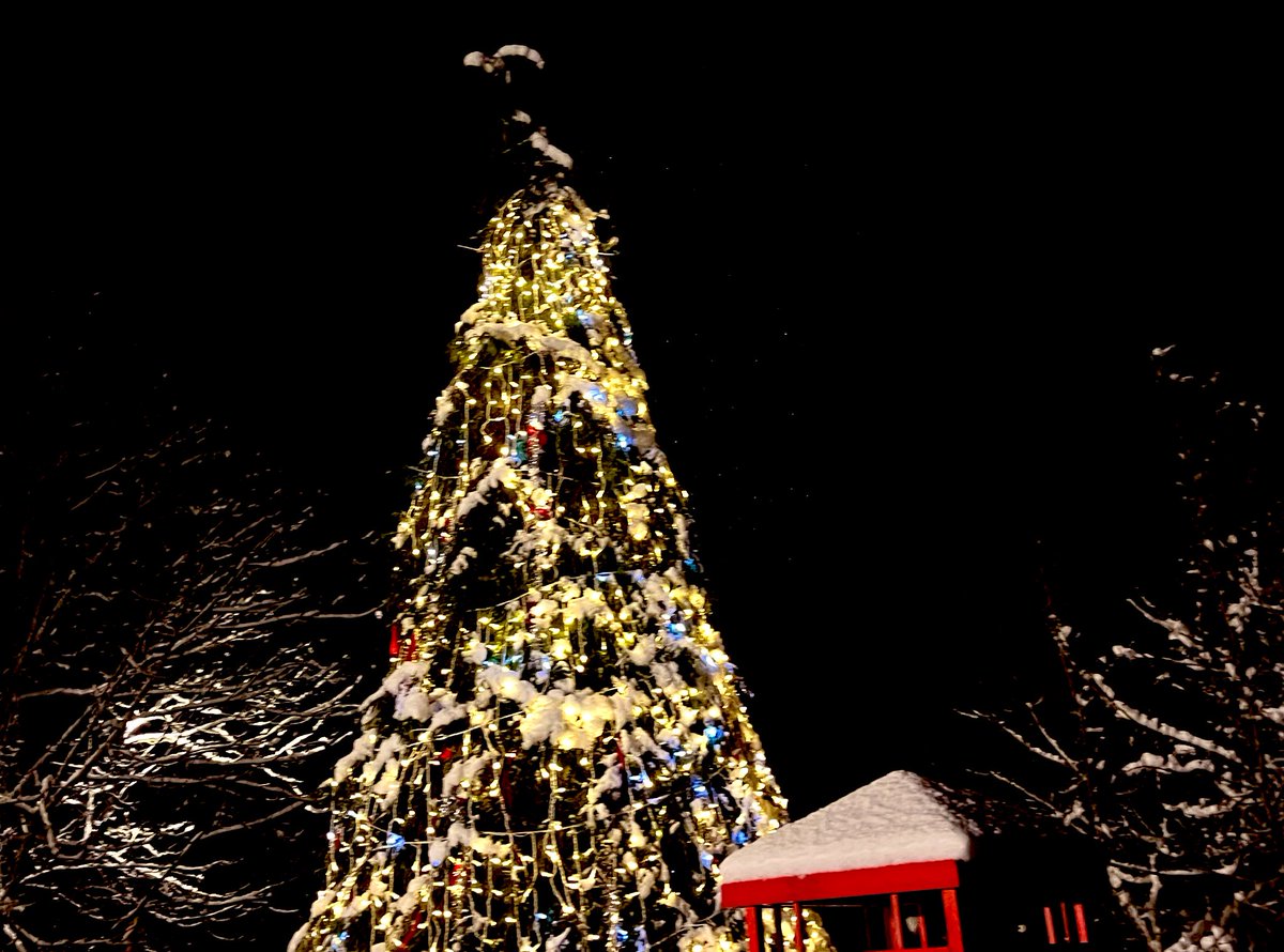 eminemengene's tweet photo. 🎄 https://t.co/G5eUXed7kO
