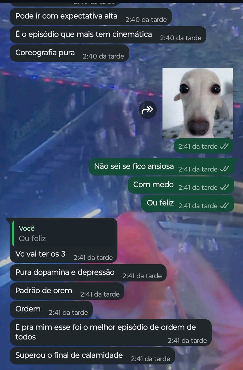 𝒎𝒂𝒓𝒊𝒂 tweet media