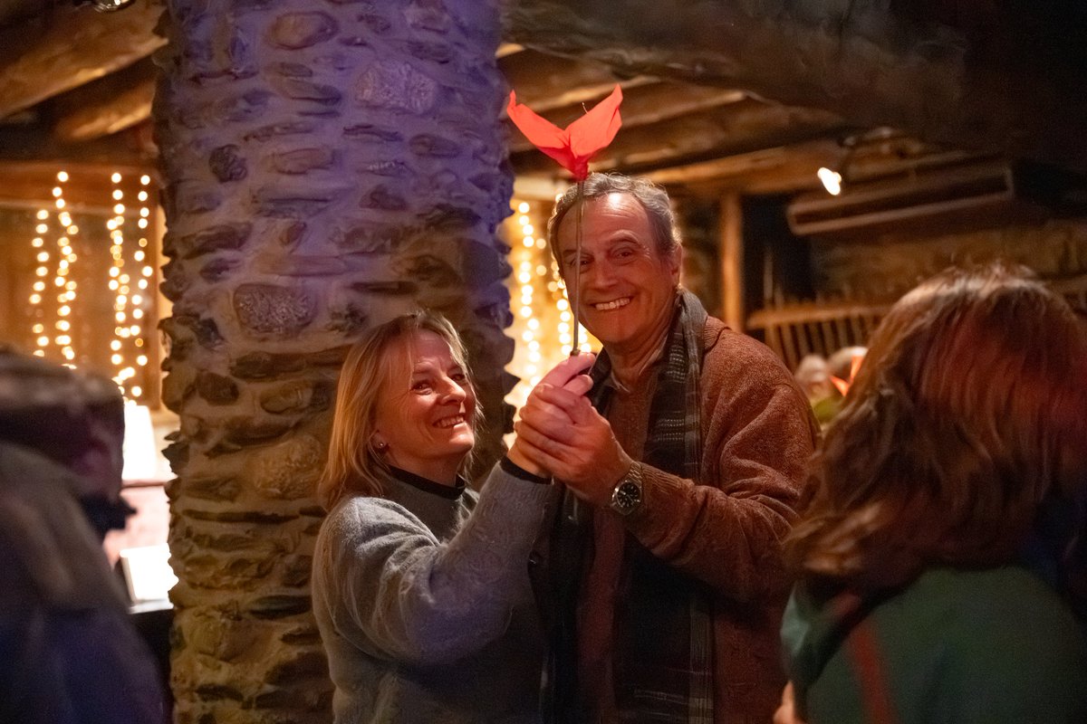 Dansàneu tweet media