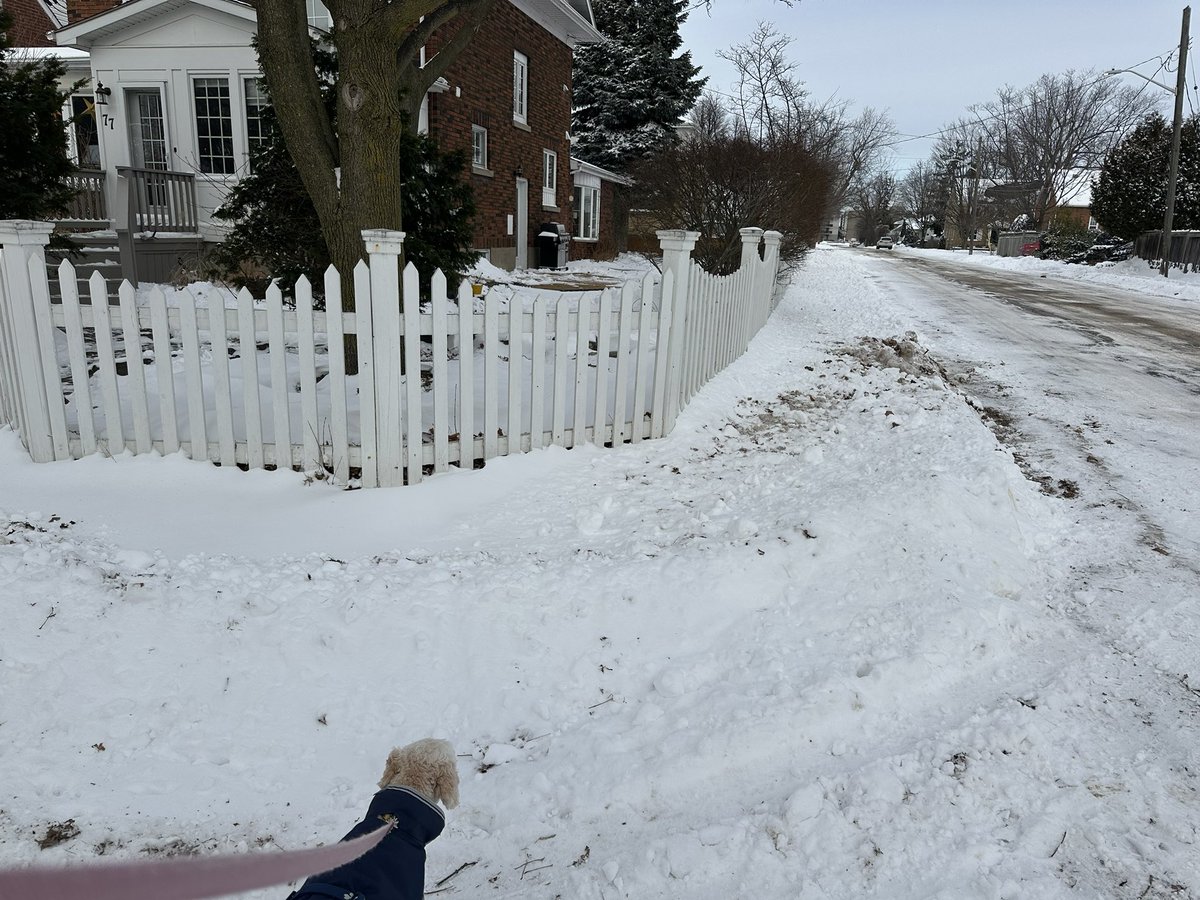 scottbuckleycfp's tweet photo. Hey @cityofkingston where are the sidewalk plows? Are you waiting for the forecasted freezing rain to make it even harder to remove the snow from the sidewalks? https://t.co/9pnengZ1ND