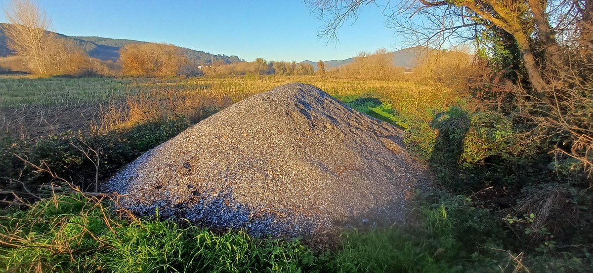 ruben_forjan's tweet photo. #Musselshells can be used as a #soil amendment to reduce acidity, add calcium and support circular economy ♻️🌱, but require proper processing and regulation. In #Spain, their use in agriculture must comply with #fertilizer and by-product #legislation to ensure safety and quality https://t.co/P7O2ChZ4ka