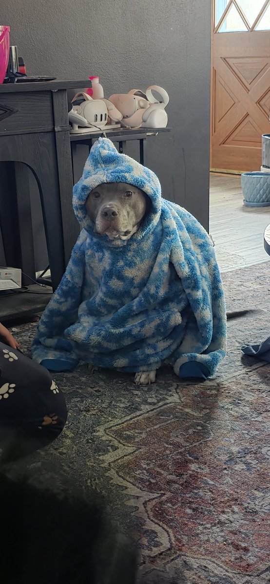 My mom said you can come watch paw patrol as long your mom is okay with it....