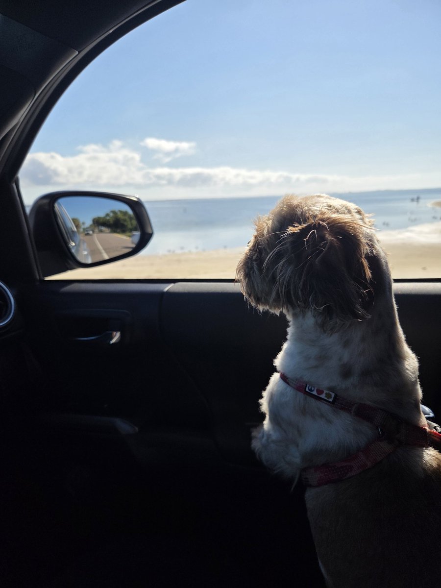 BredWoolfe's tweet image. 