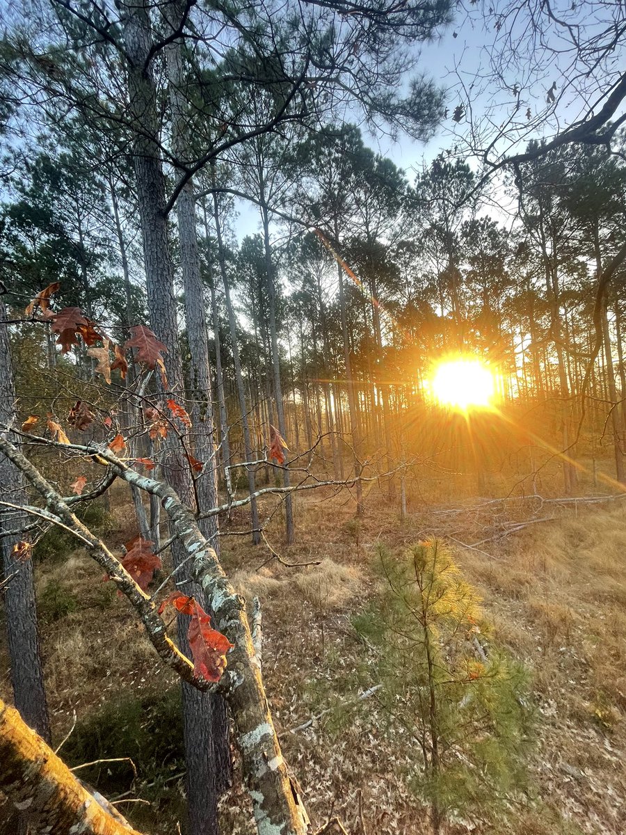 JesseJimIsle's tweet photo. Beautiful morning at Social Hall! #ACEBasin https://t.co/qCYH9BOJUE