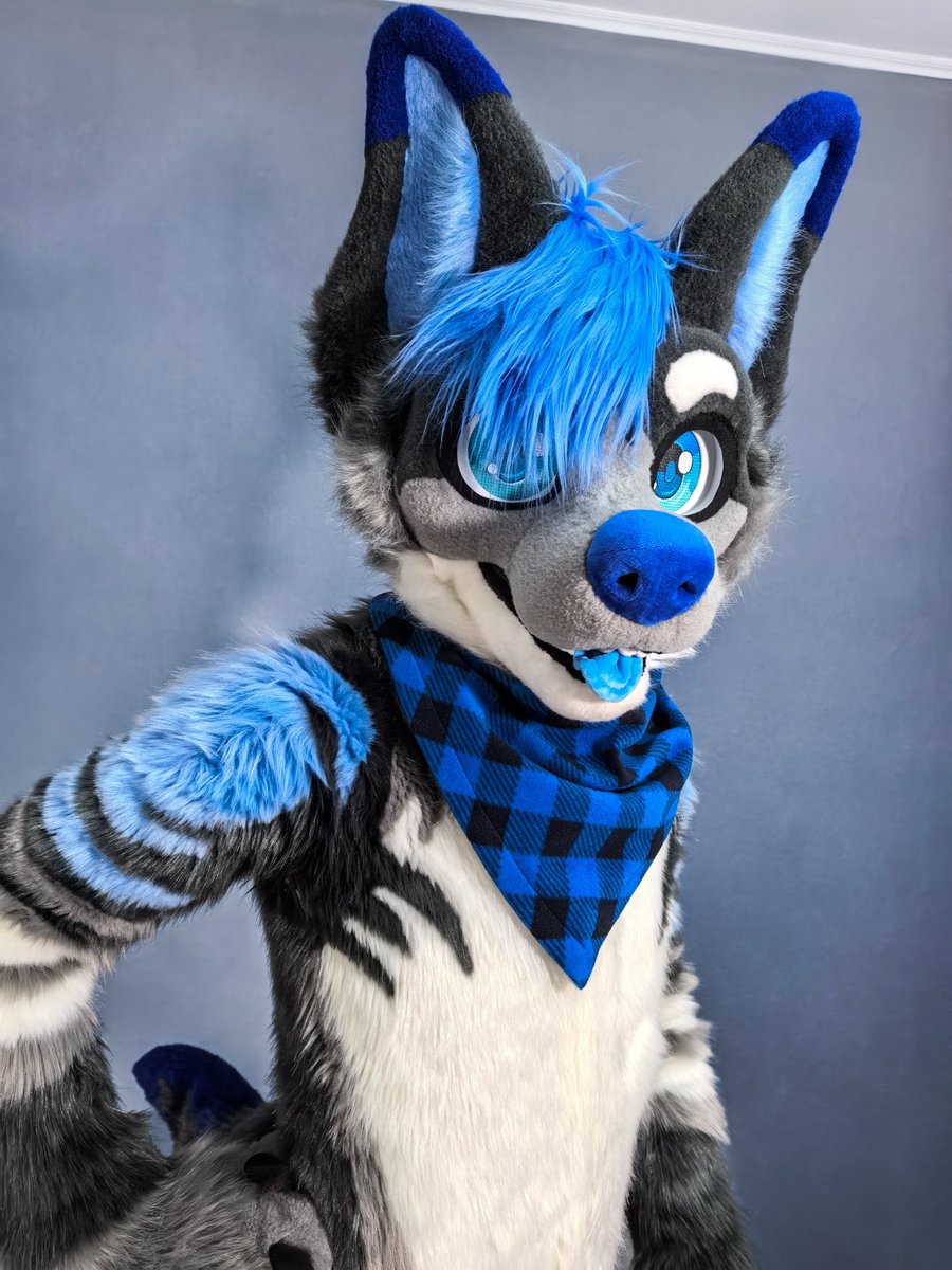 🤿Gear The Shark-Dog🤿 tweet media