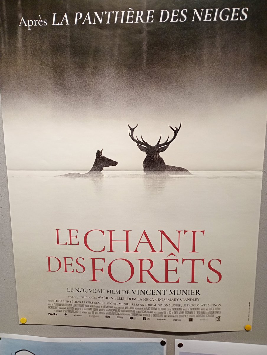 Eugene Archer tweet media