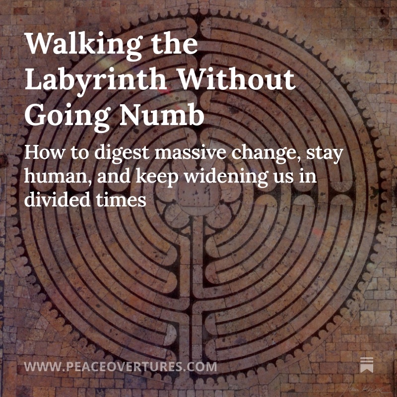 David Barnes tweet media